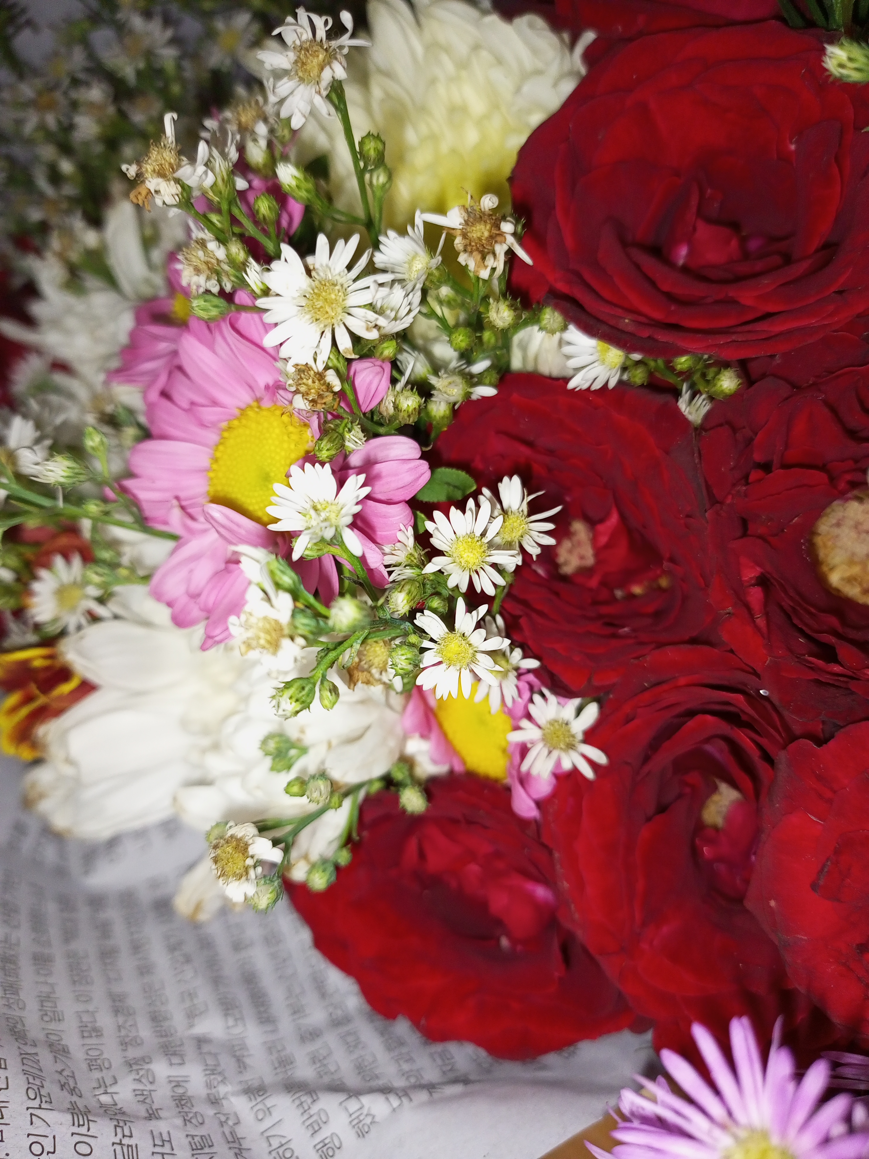 IMG_20230402_130613_143.jpg