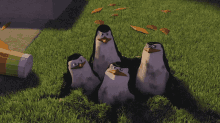 Image from thread
