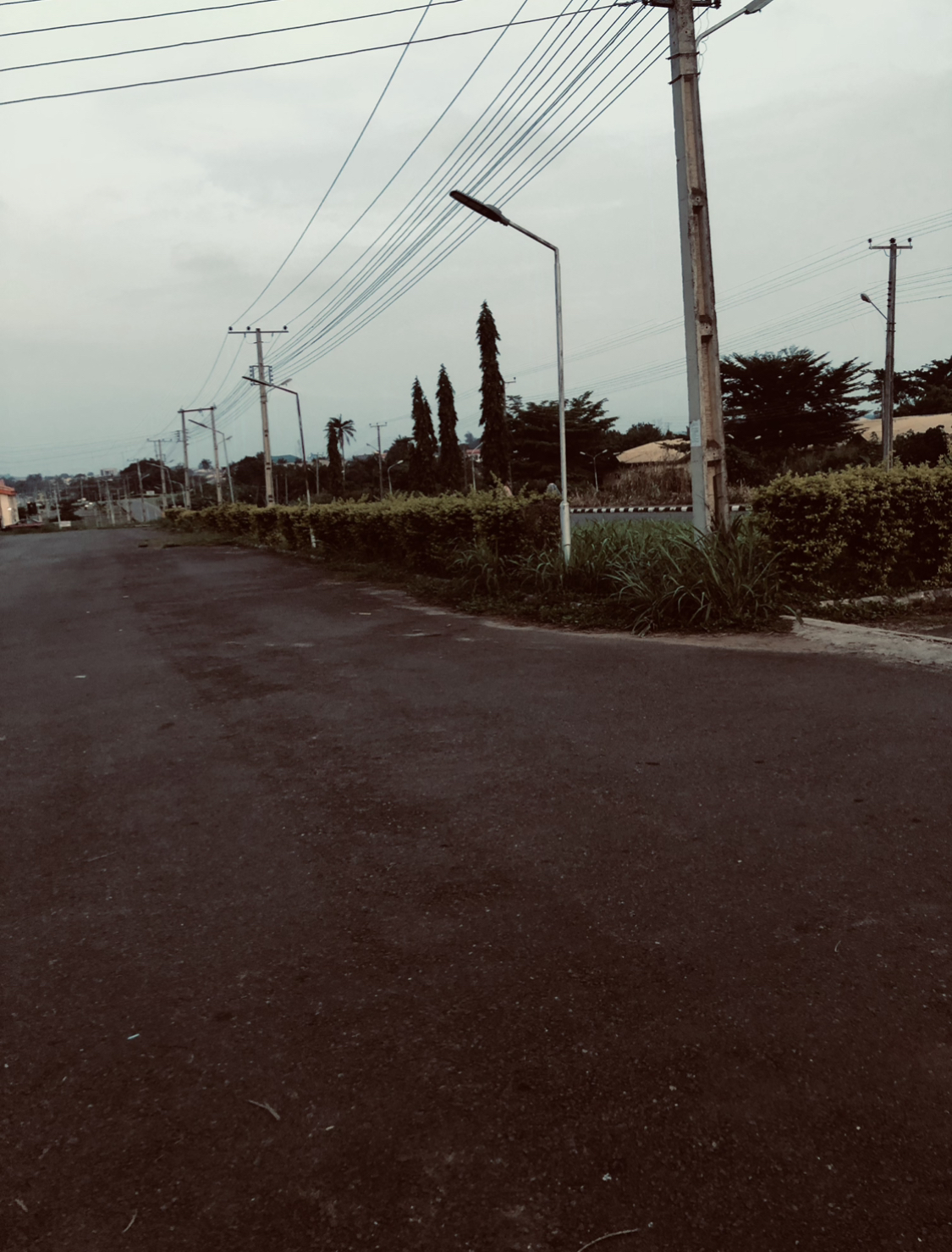 IMG_6952.jpeg
