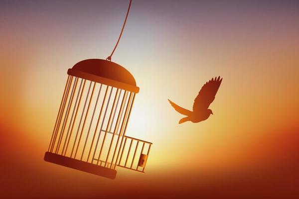 freedom-bird.jpg