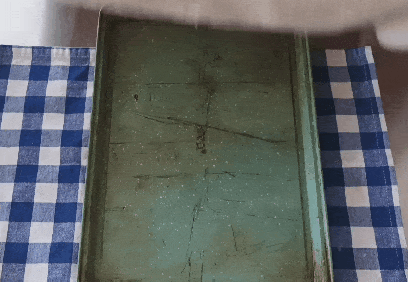 GIF-250311_164949.gif
