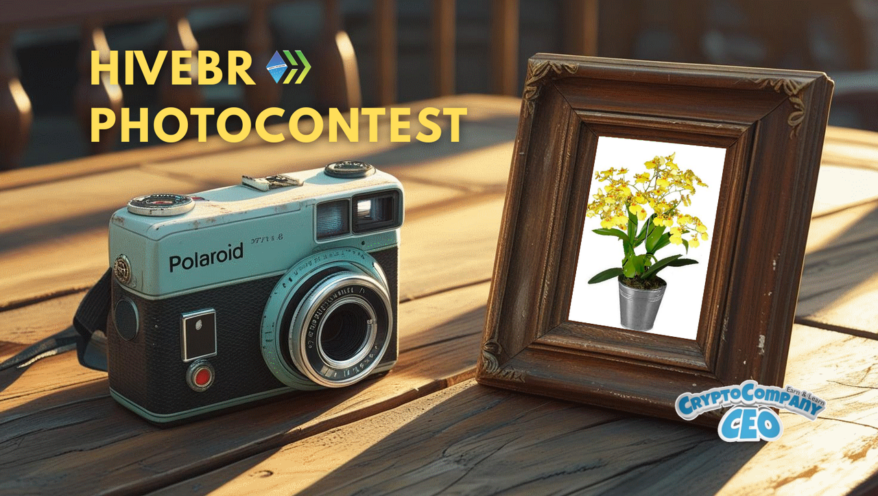 HiveBR%20Photocontest.png