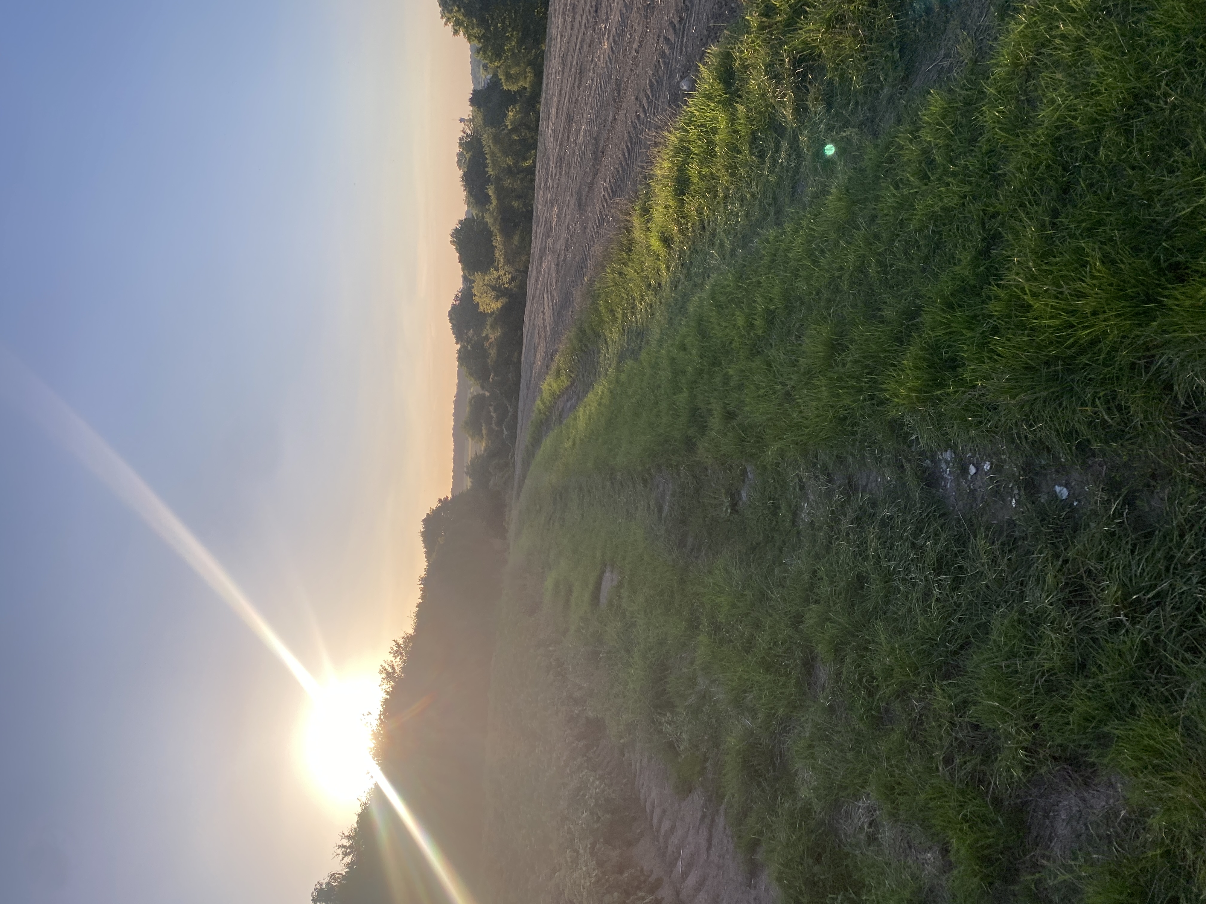 IMG_3494.jpeg