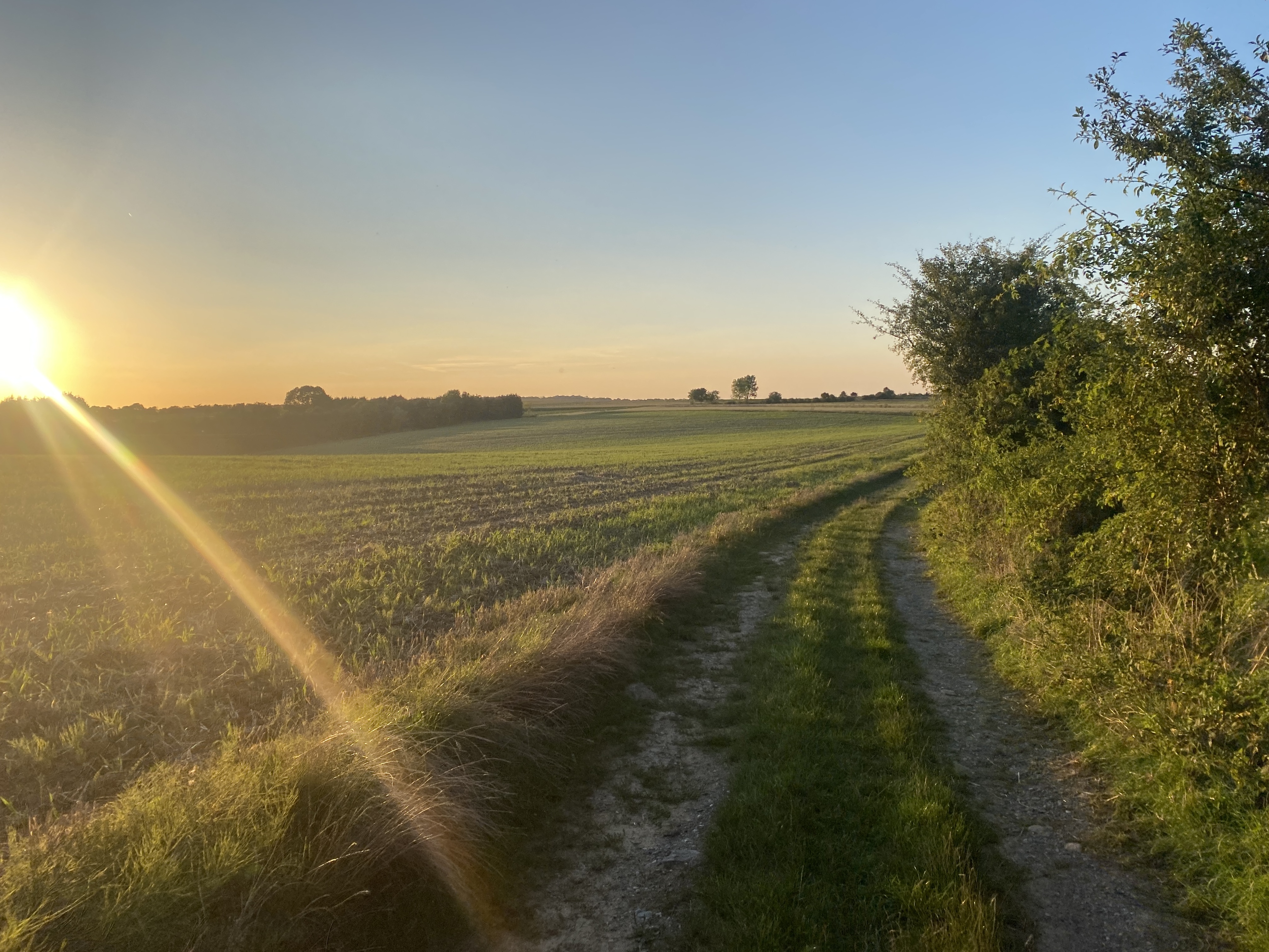 IMG_3502.jpeg