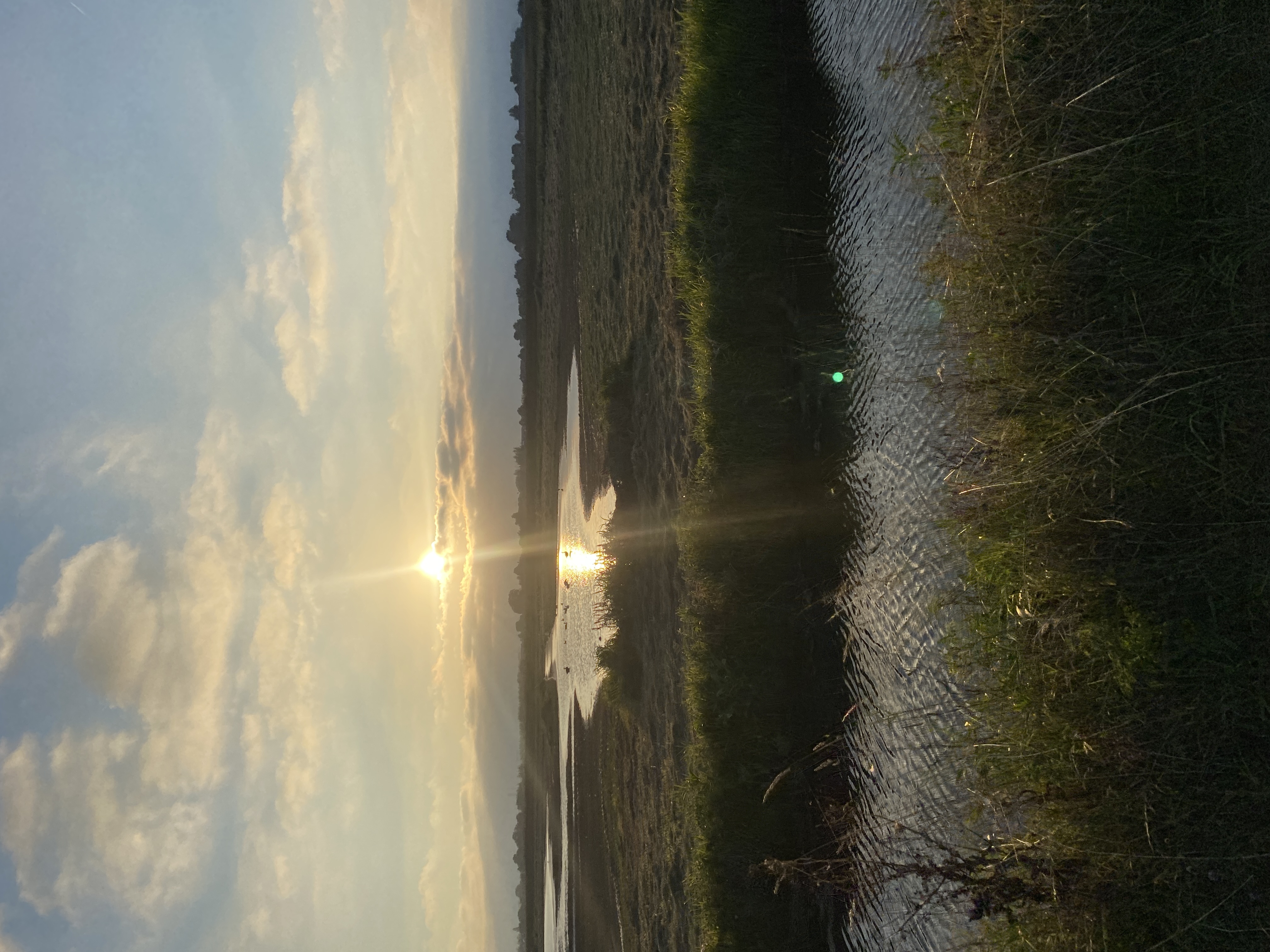 IMG_3814.jpeg