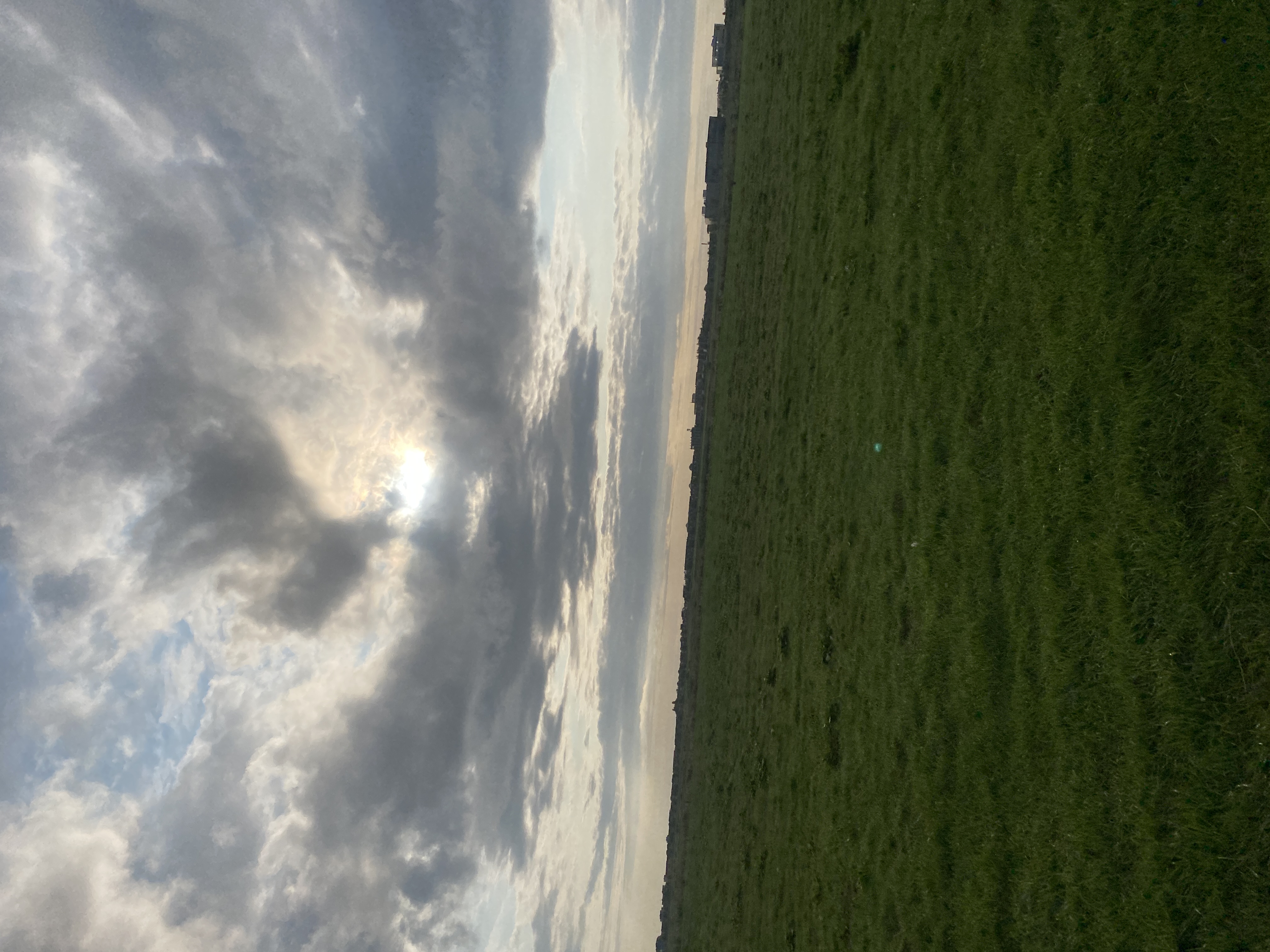 IMG_2845.jpeg