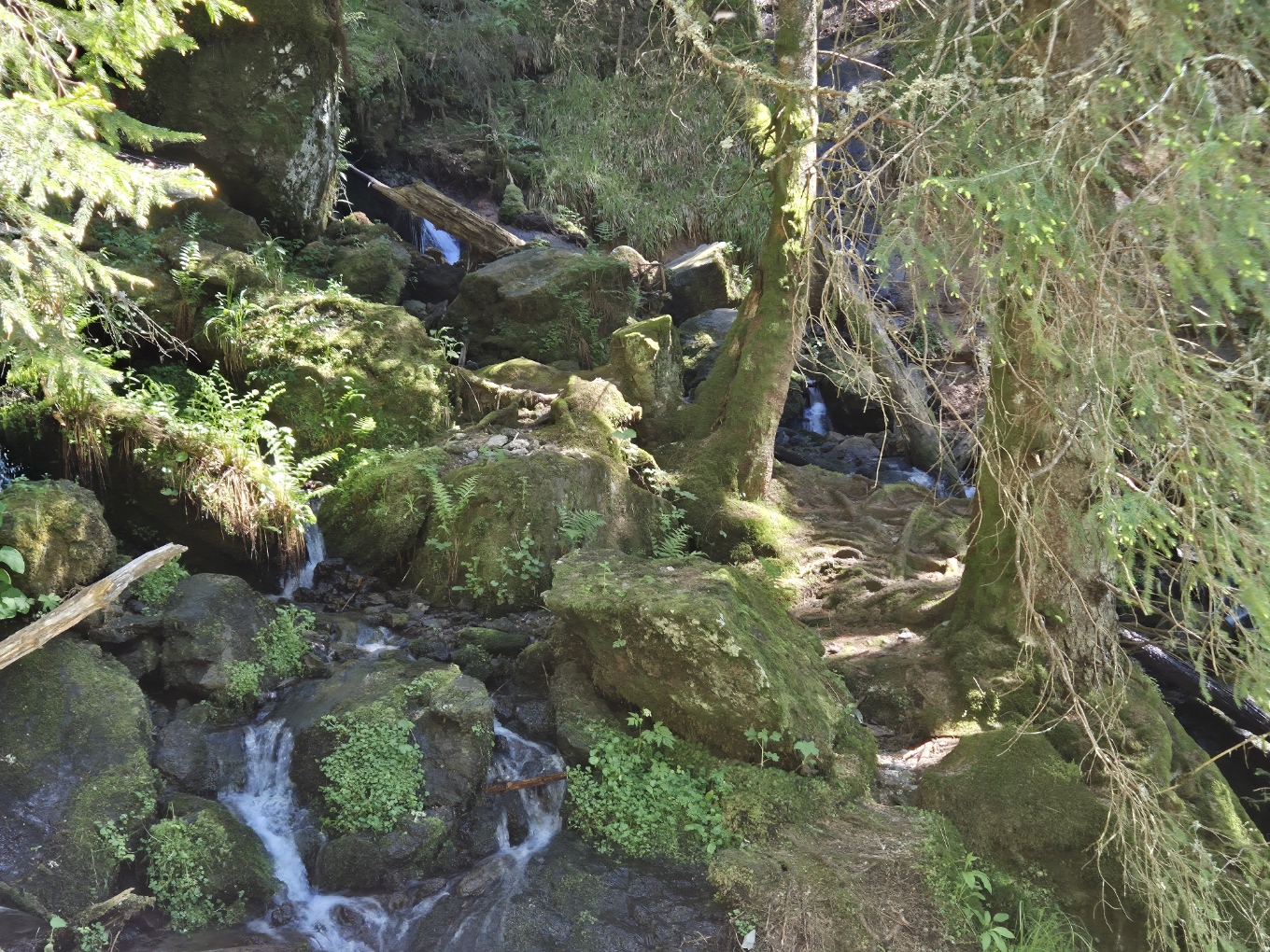 20250530_160758.jpg