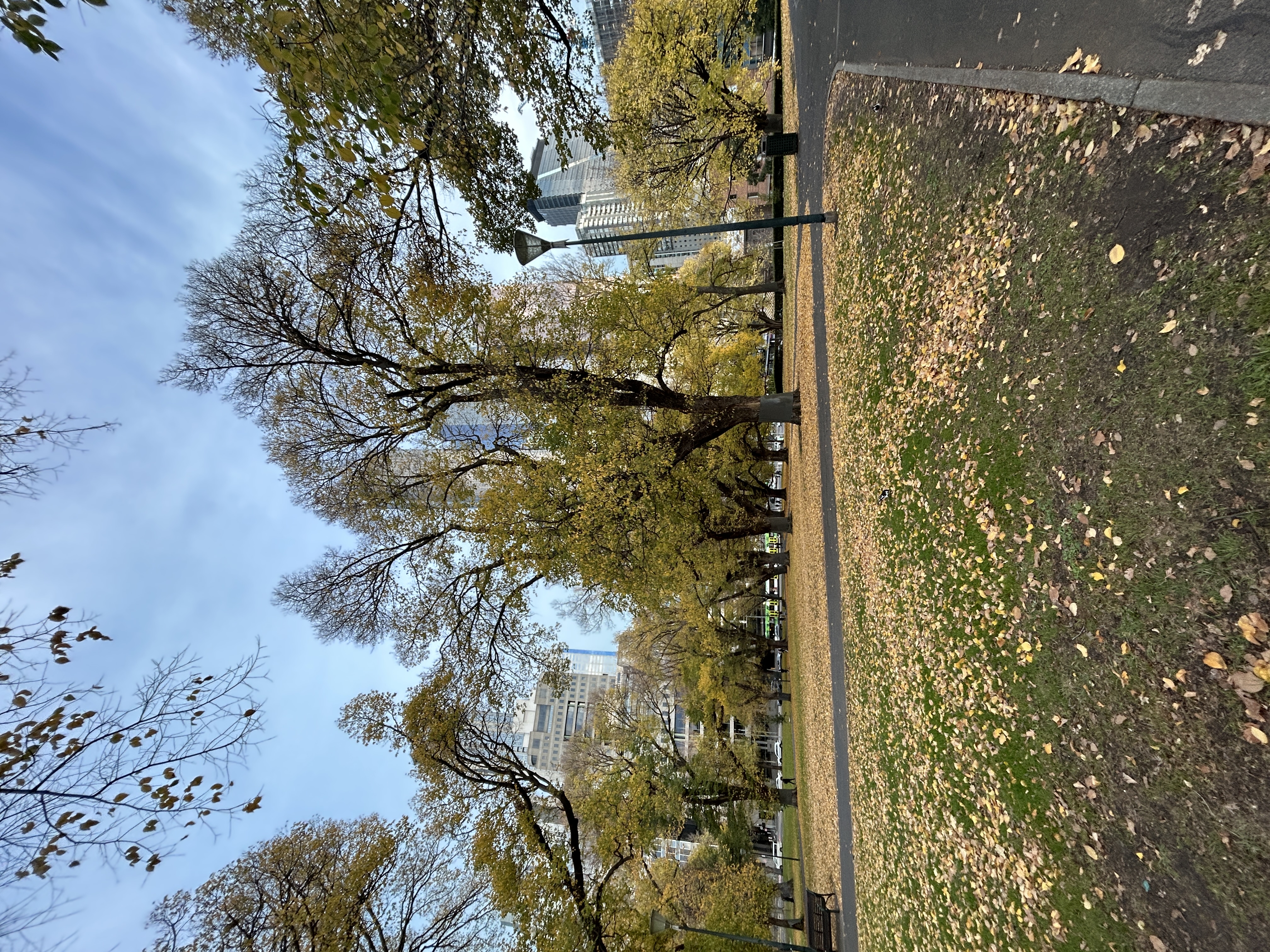 IMG_6284.jpeg