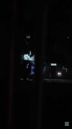 03081.gif