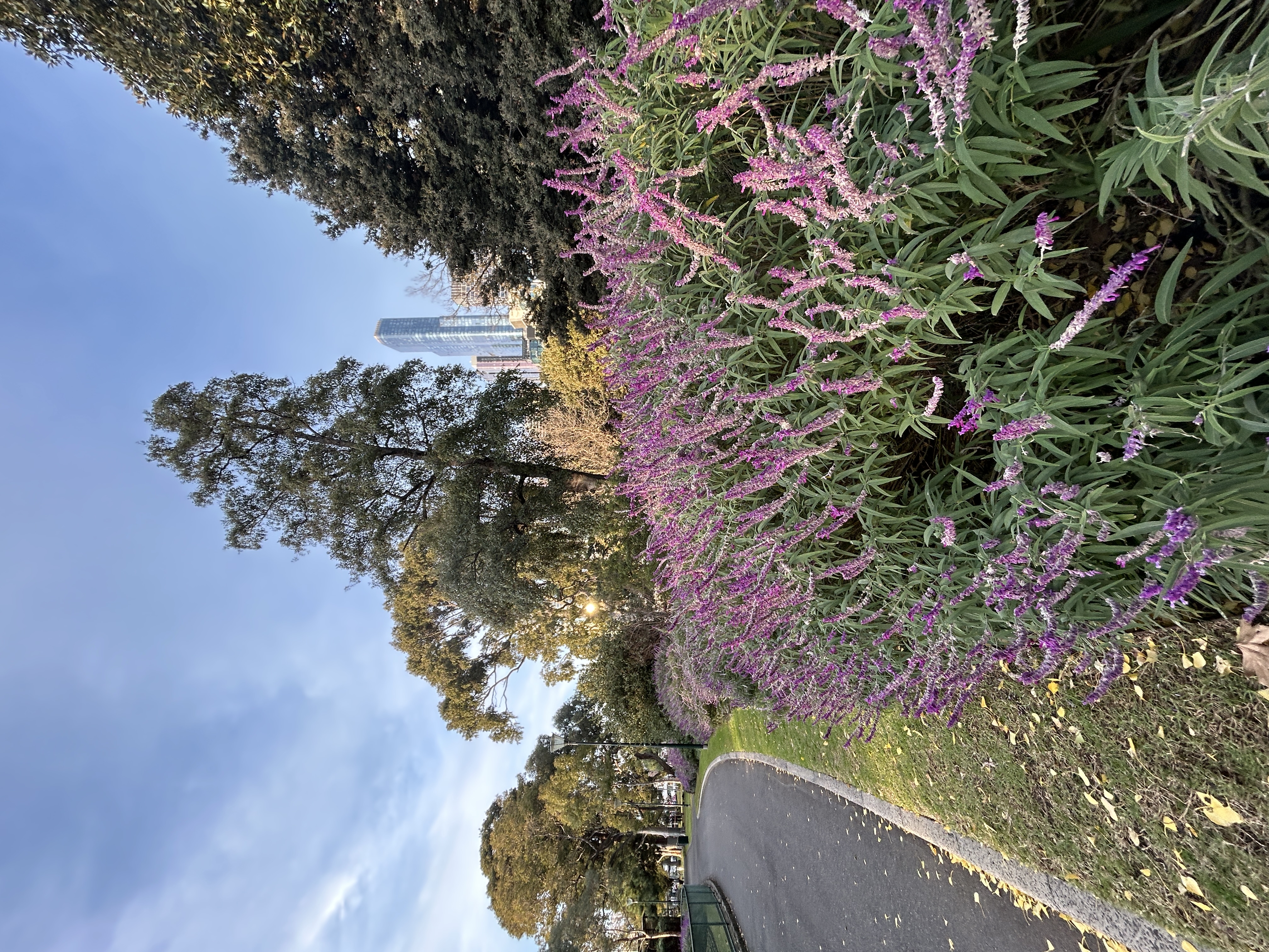 IMG_6280.jpeg