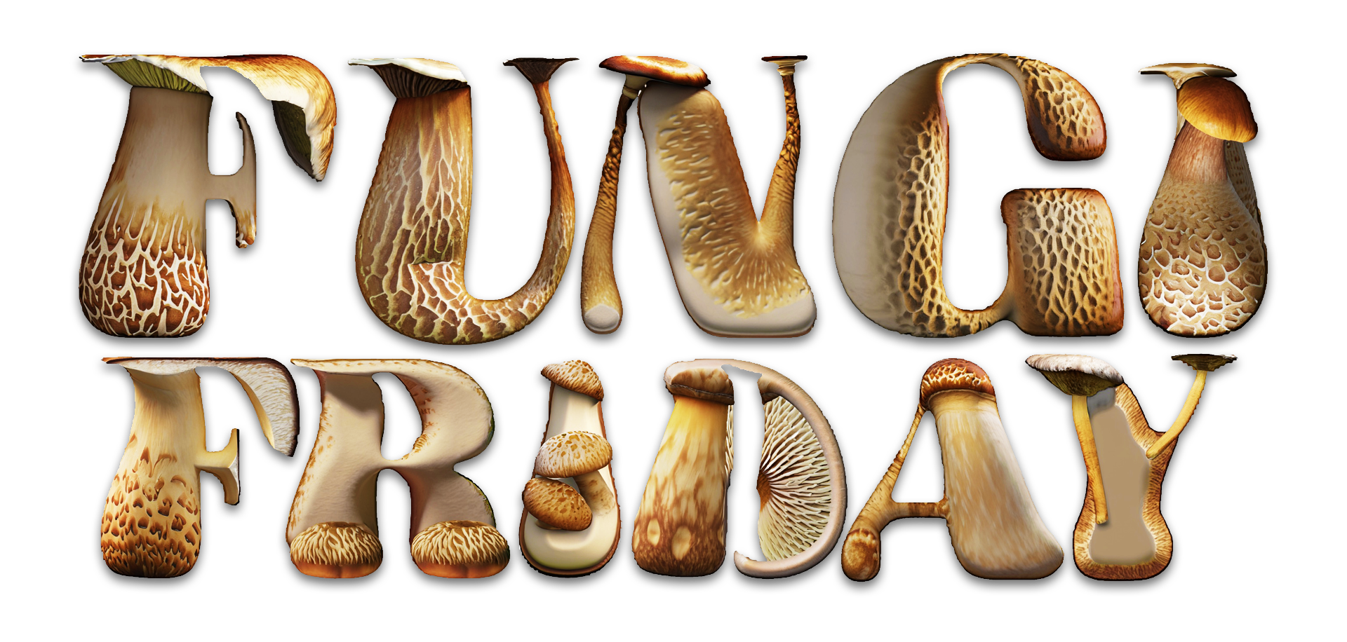 Fungi Friday