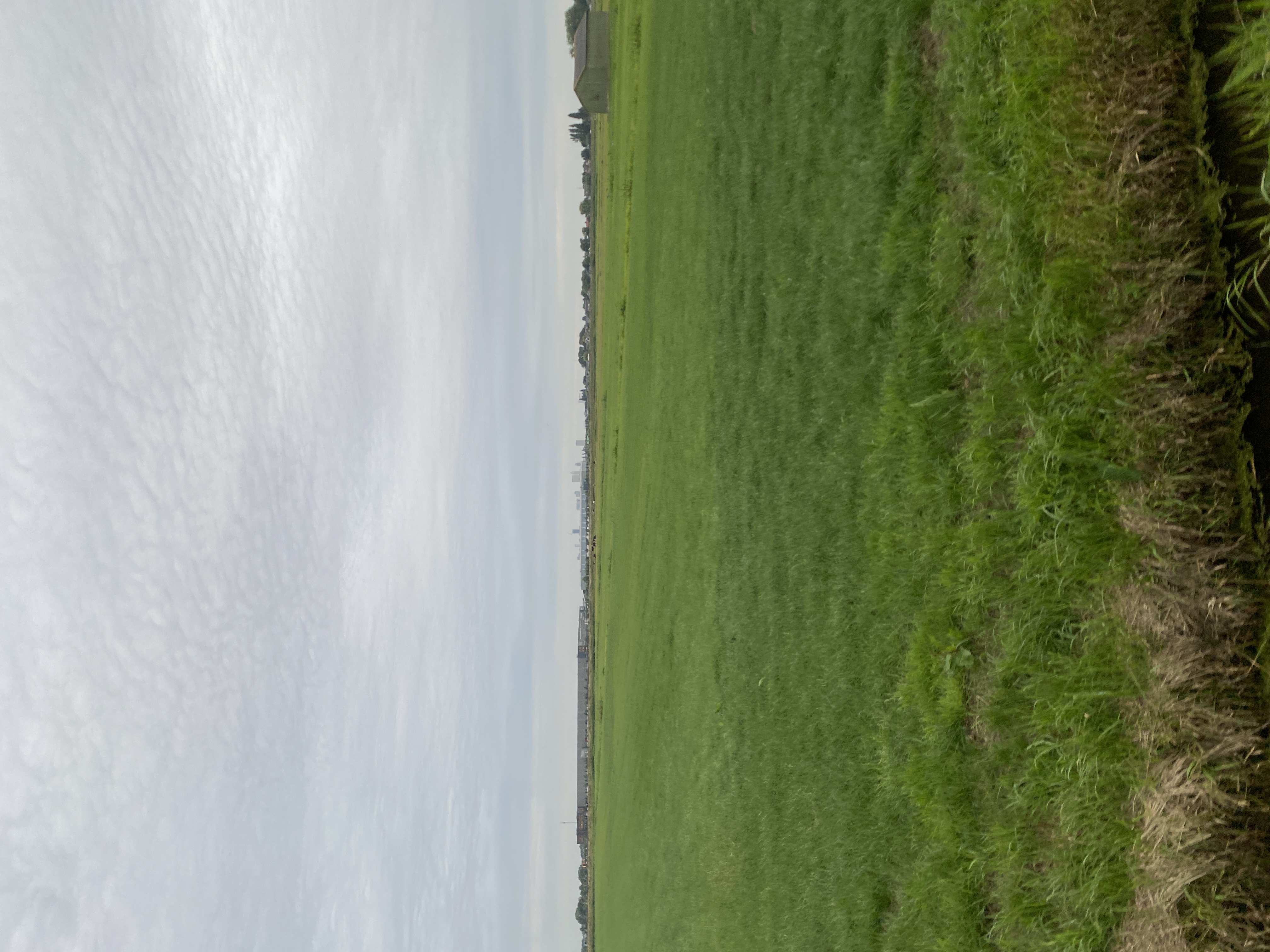 IMG_3340.jpeg