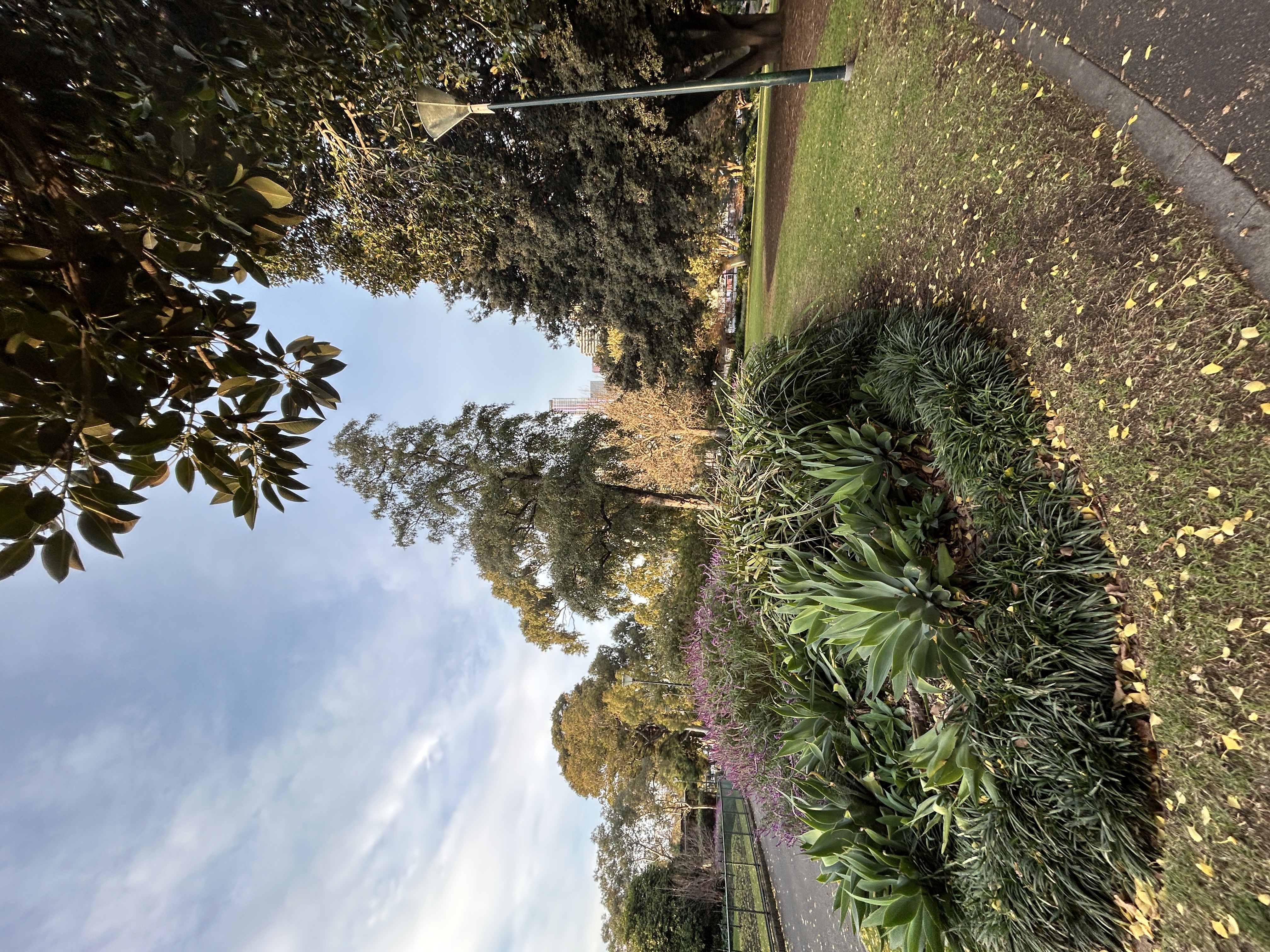 IMG_6279.jpeg