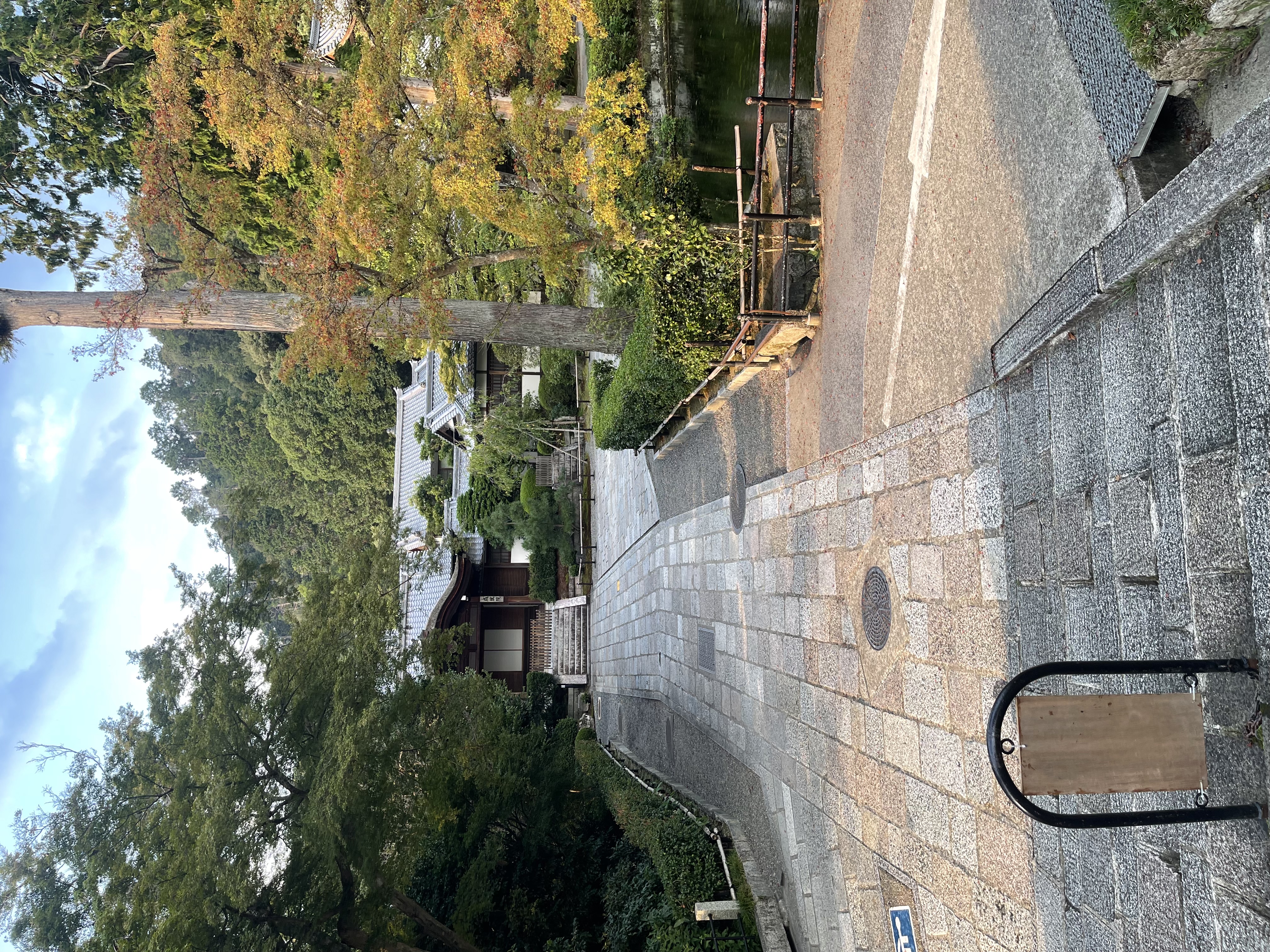IMG_1435.jpeg