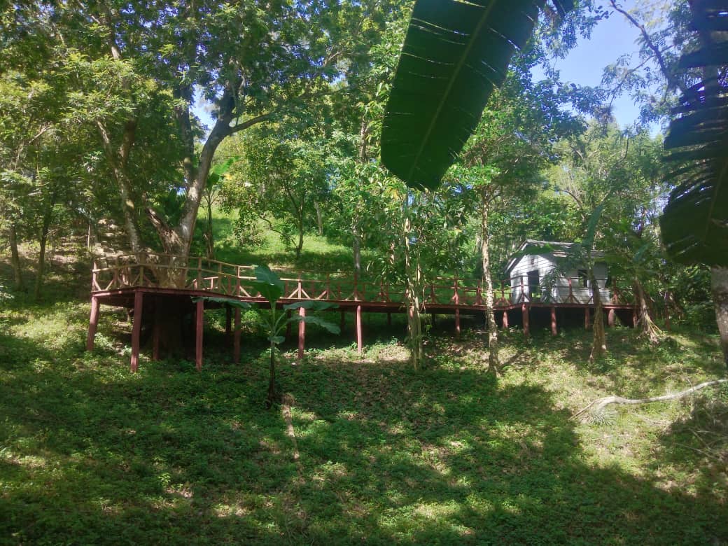 IMG-20250816-WA0016.jpg