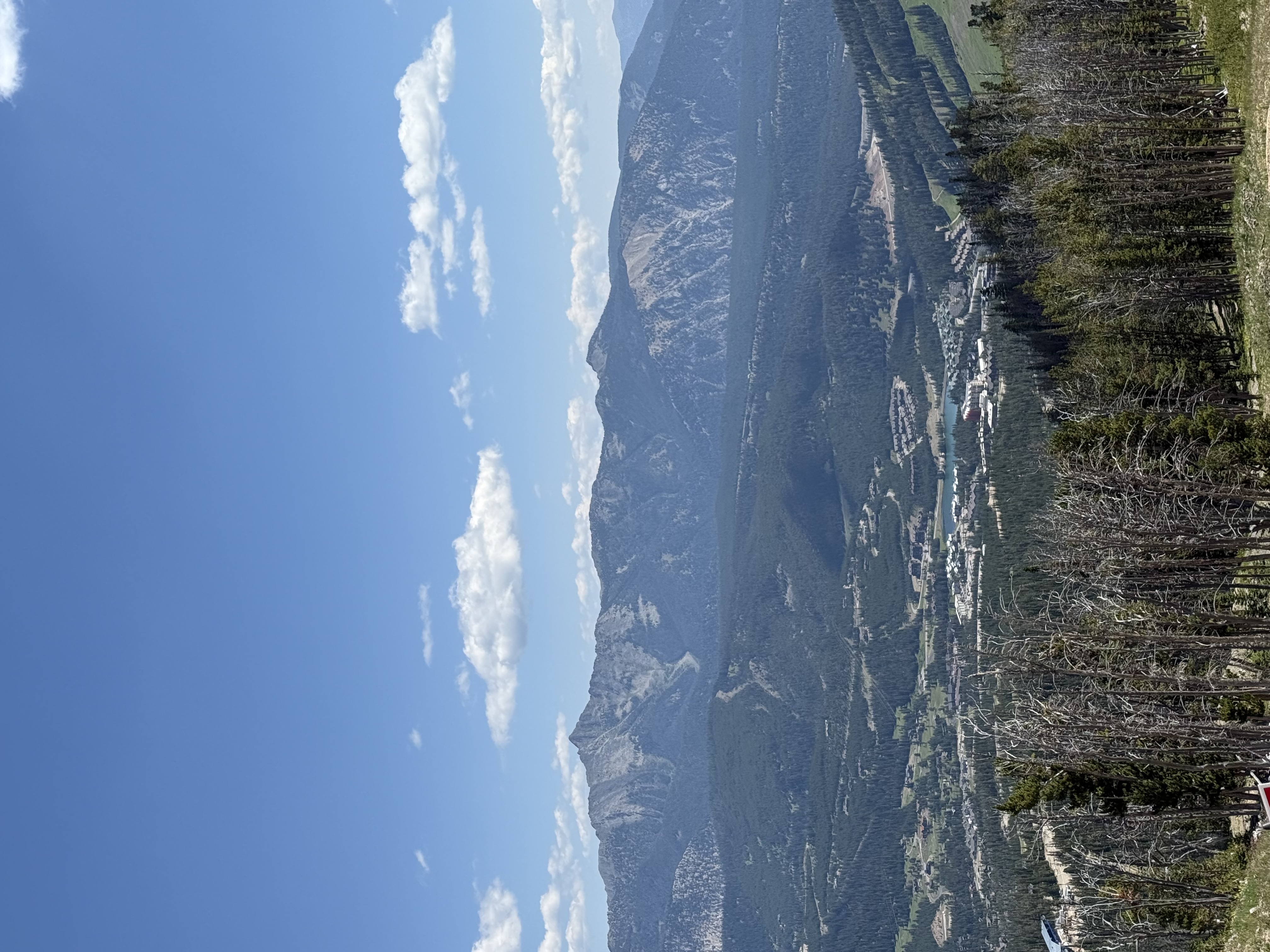 IMG_2020.jpeg