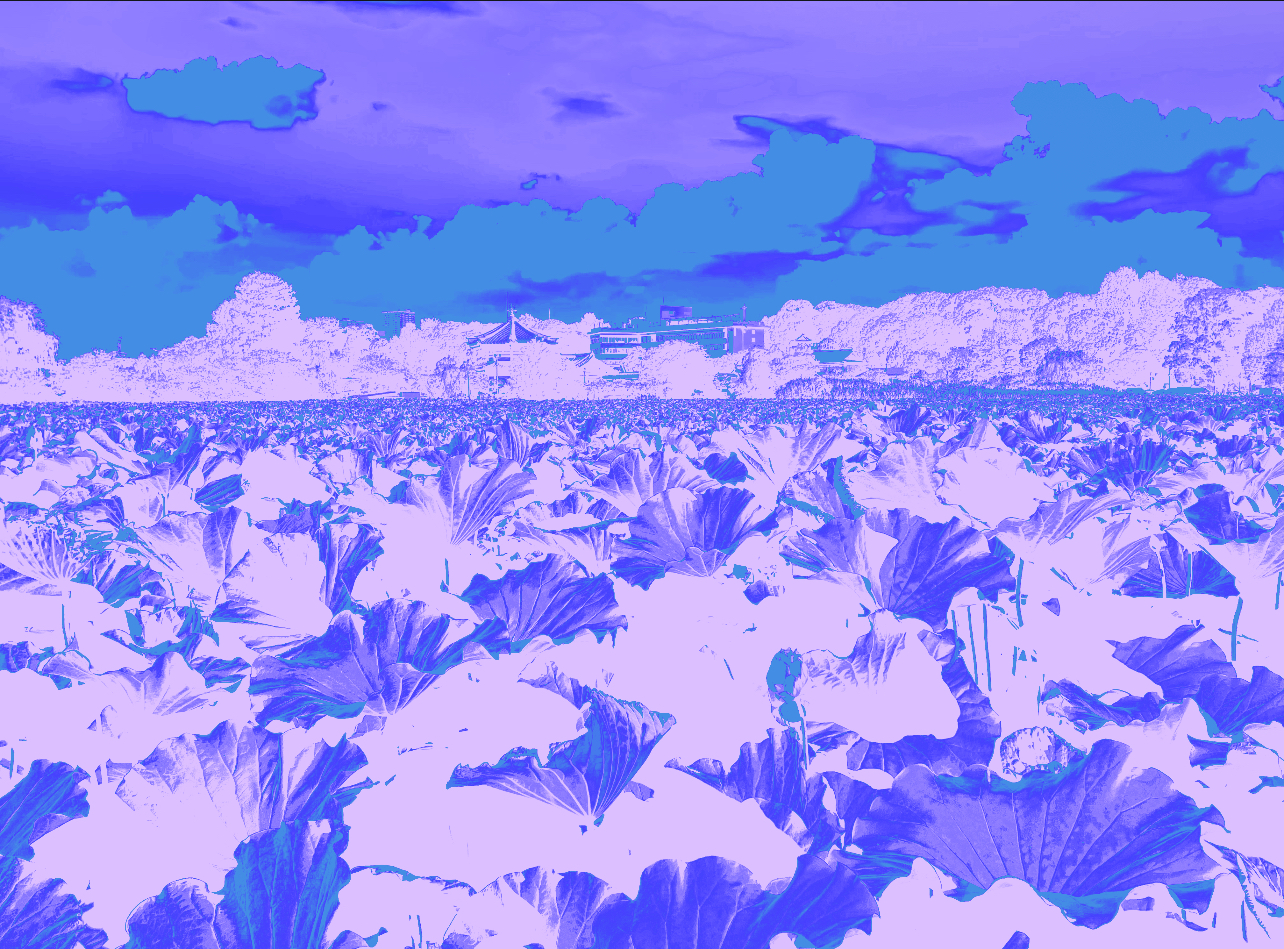 IMG_1143.jpeg