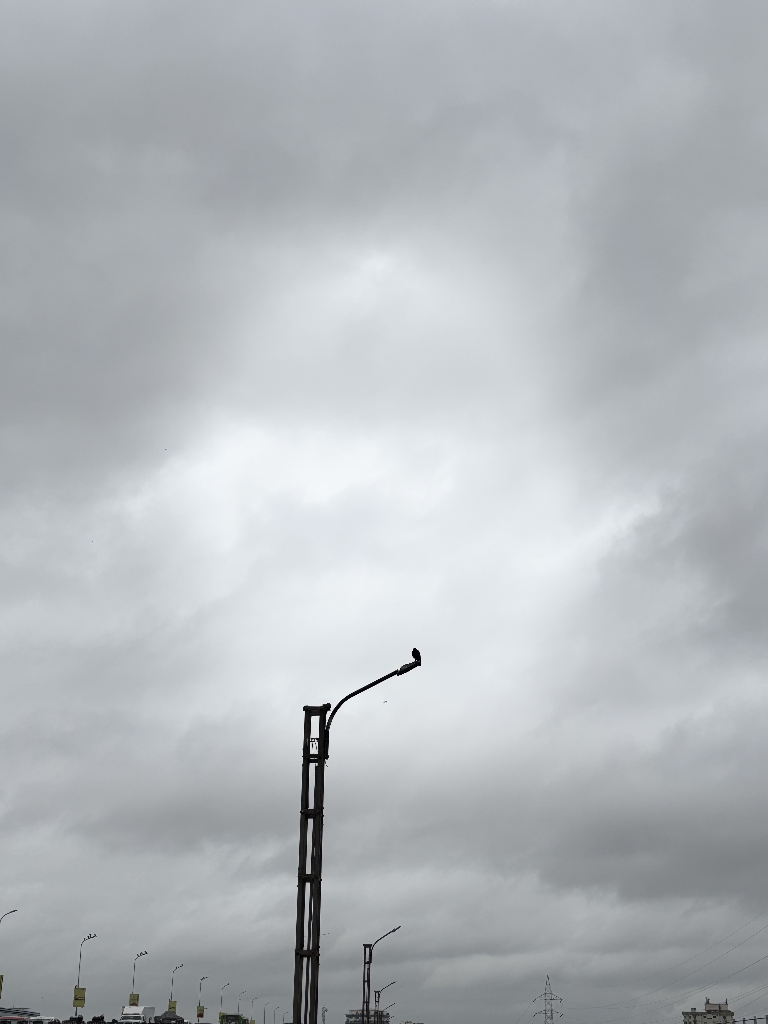 IMG_3065.jpg