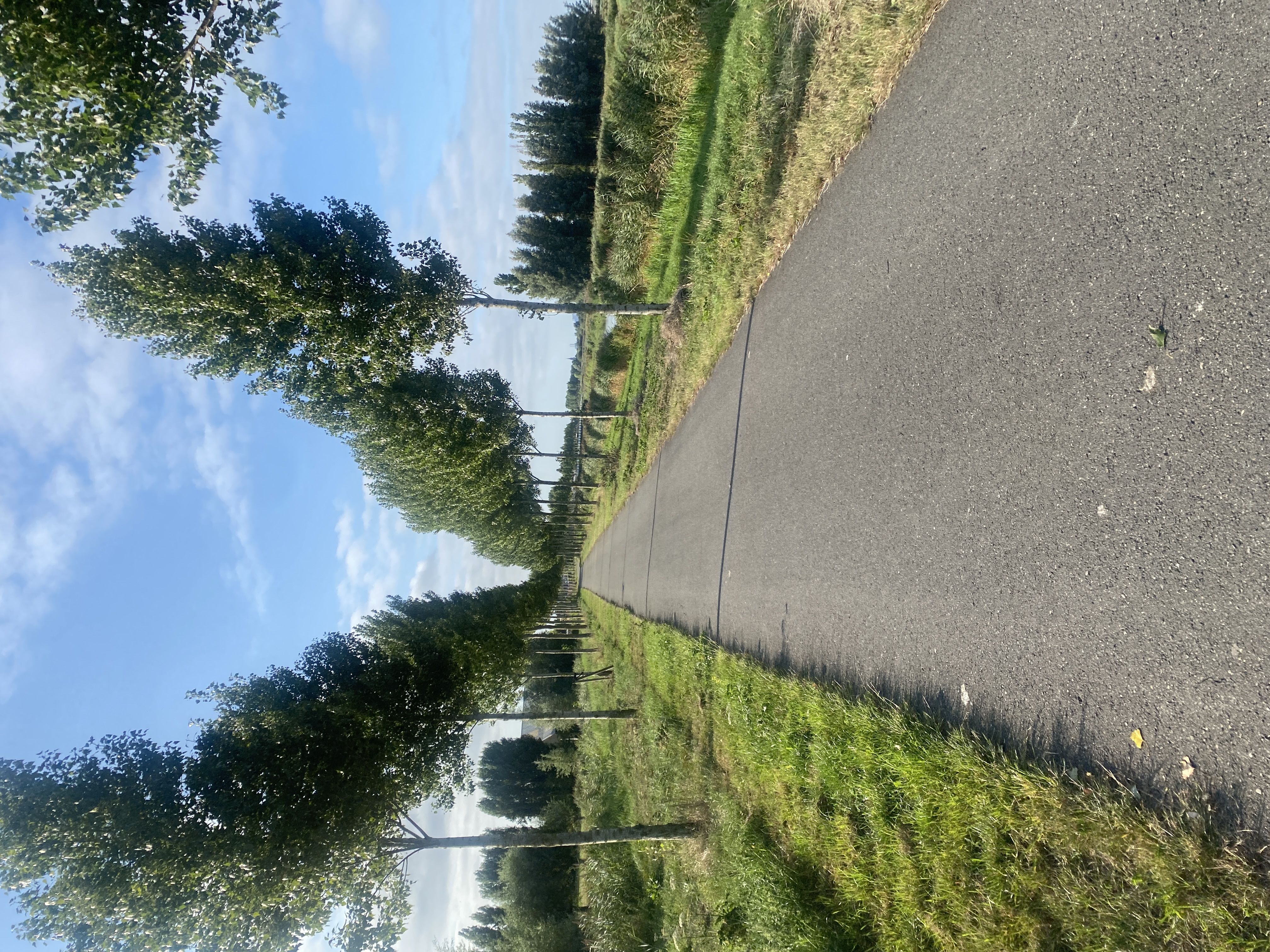 IMG_3892.jpeg