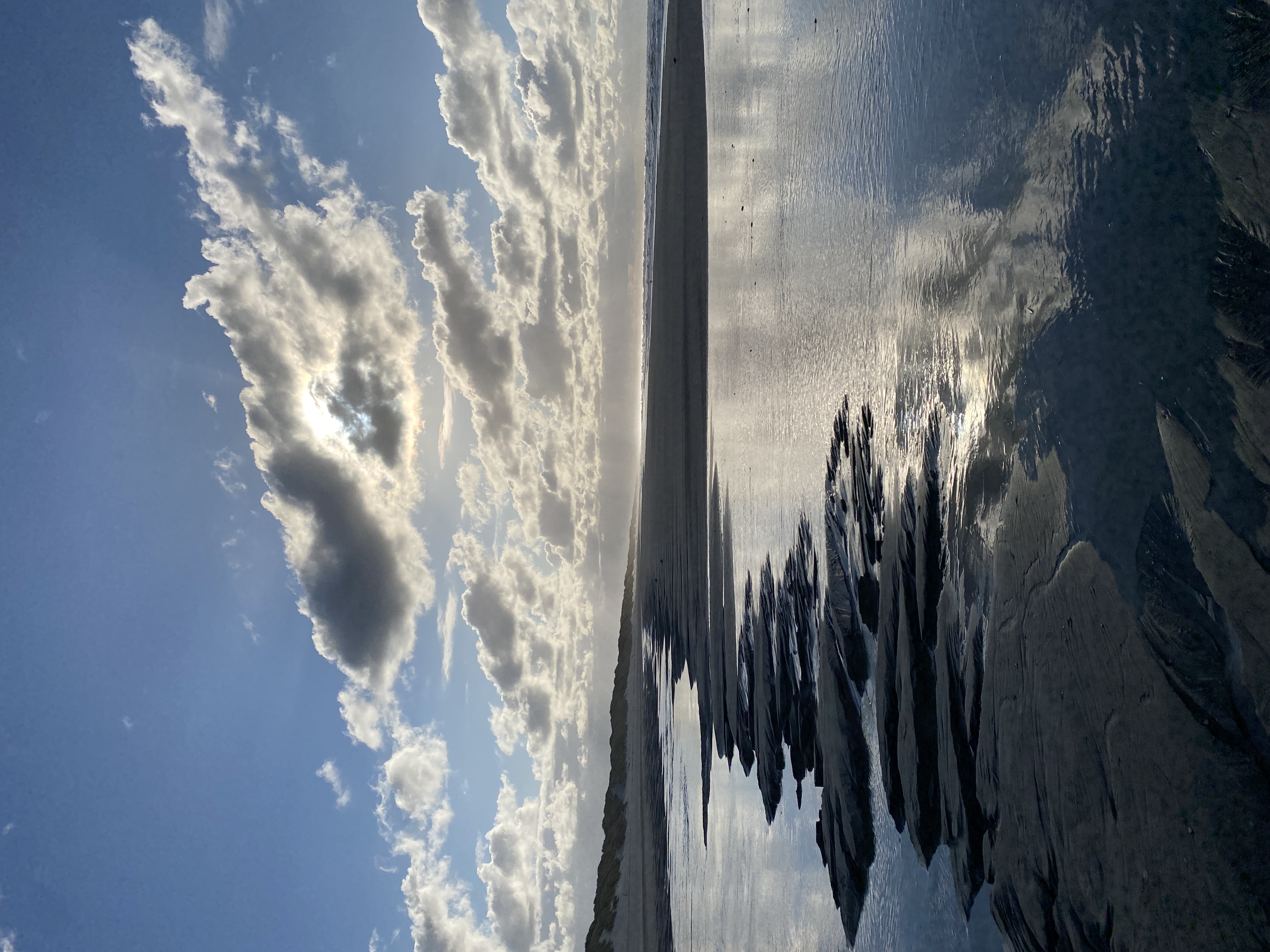 IMG_4349.jpeg