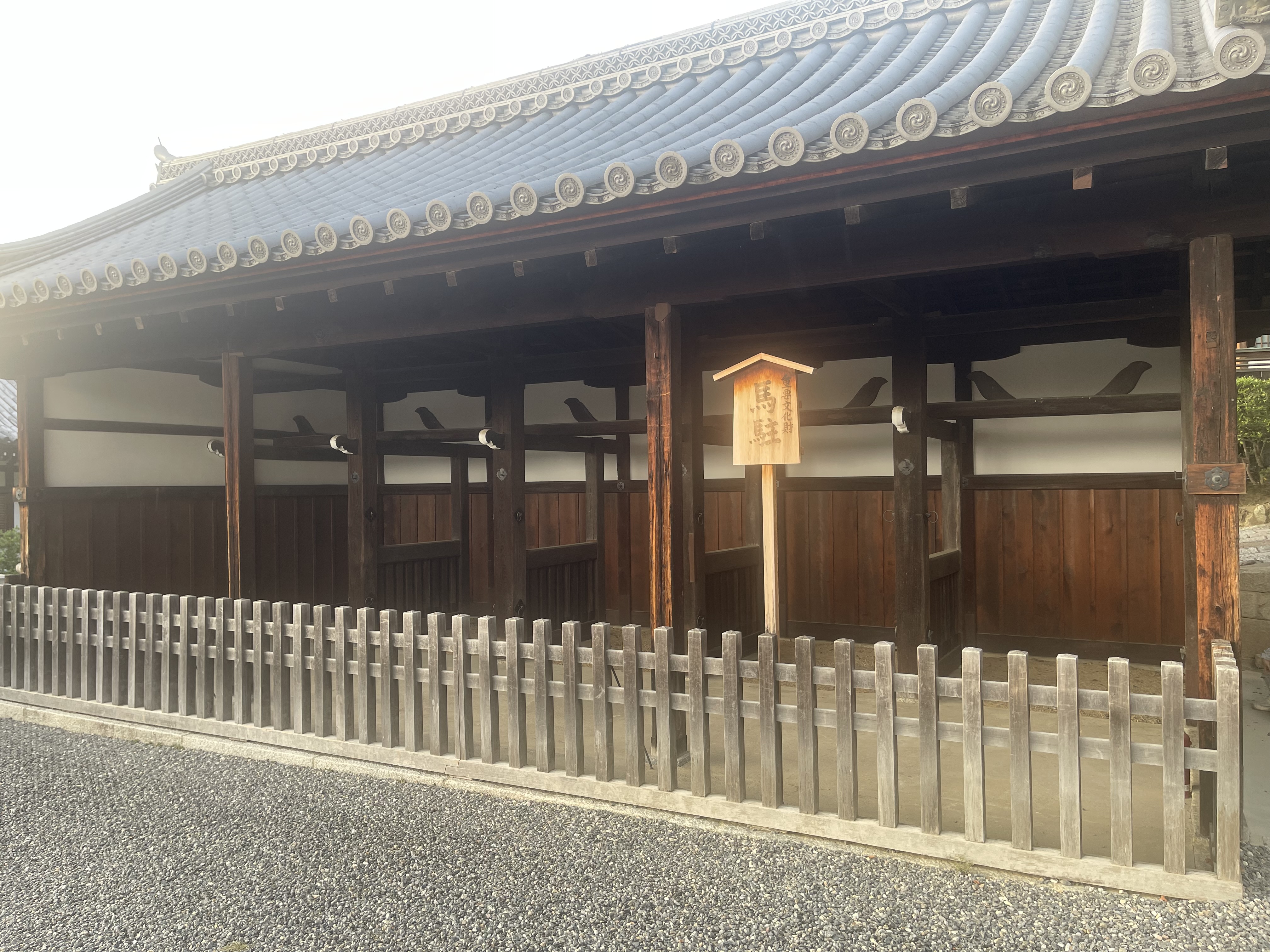 IMG_1444.jpeg
