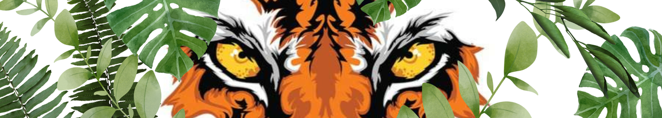 acidtiger's cover
