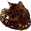 adysscheryl
