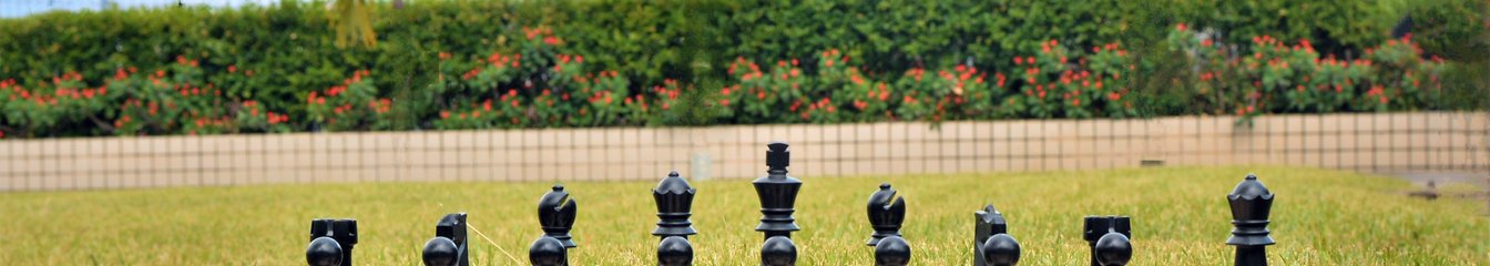 africanchess's cover