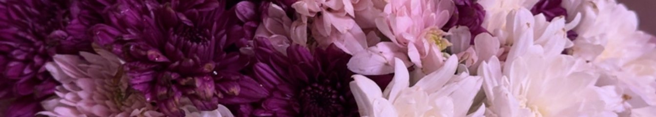 ajumaa's cover
