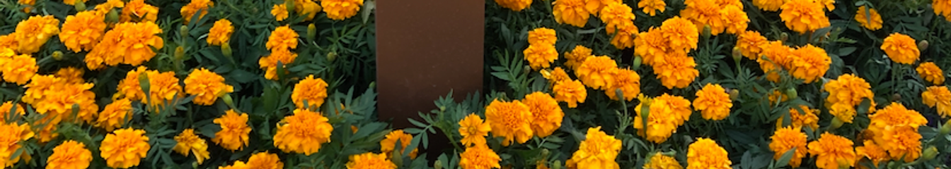 aljif7's cover