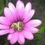 amazingnature