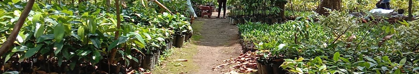 awalmula's cover
