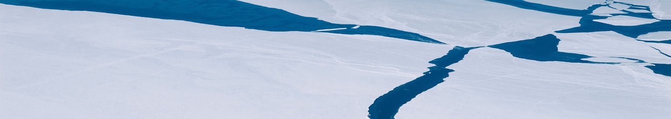 bipolar's cover