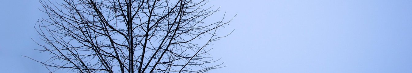 bluesniper's cover