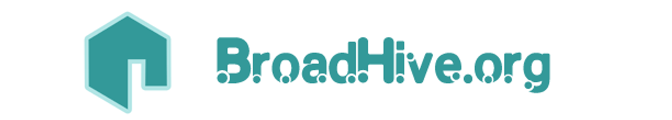 broadhive-org's cover