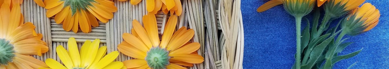 calendulacraft's cover