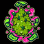cannabiscritters
