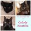 catlady.natascha