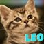 catnamedleo