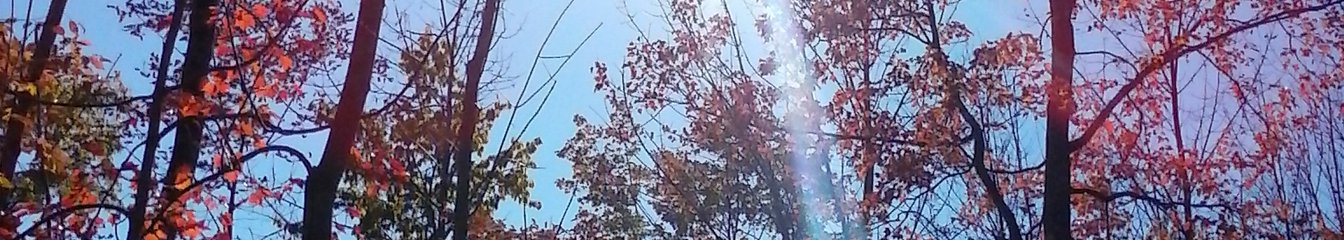 chadmichaellibby's cover