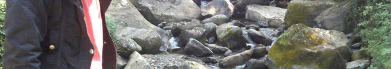 chawang's cover