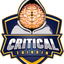 criticalthinkin