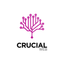 crucialweb