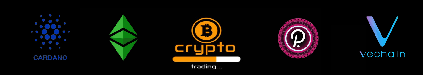 crypt0b0y's cover