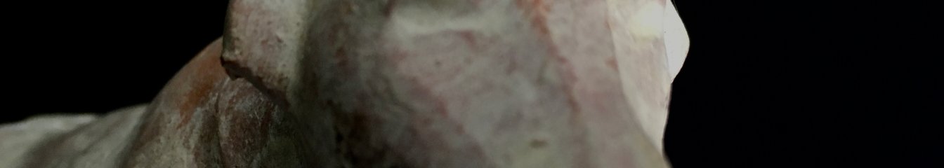 danshak's cover