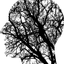 draconel
