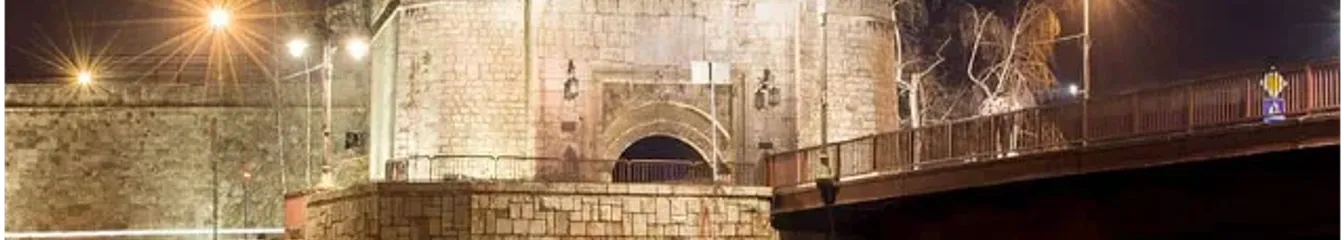 dragan1957's cover