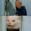 dreamtales