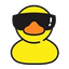 duckmotor