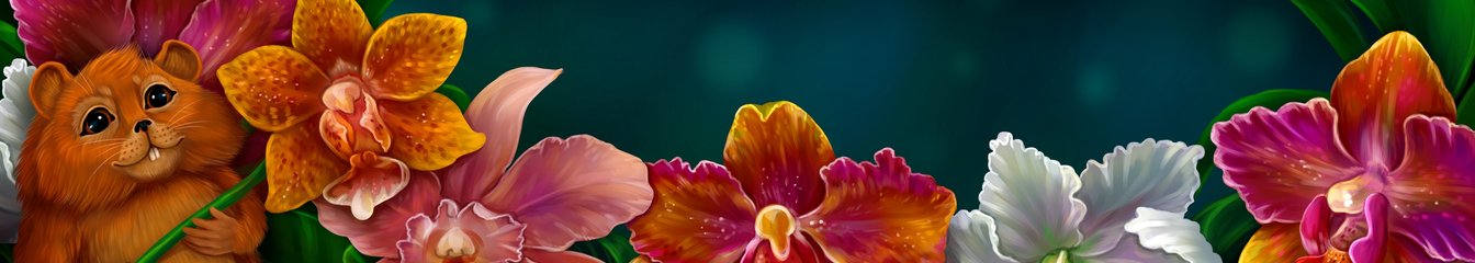 elenasteem's cover